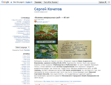Tablet Screenshot of kochetov.info
